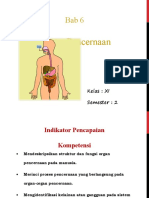 Bab 6 Sistem Pencernaan