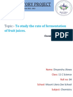 Chemistry Project PDF Final