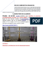 Guia de Laboratorio Organica