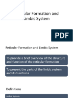 11 Reticular Formation and Limbic System