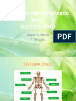 Sistema_Oseo-pptx-6511611363763
