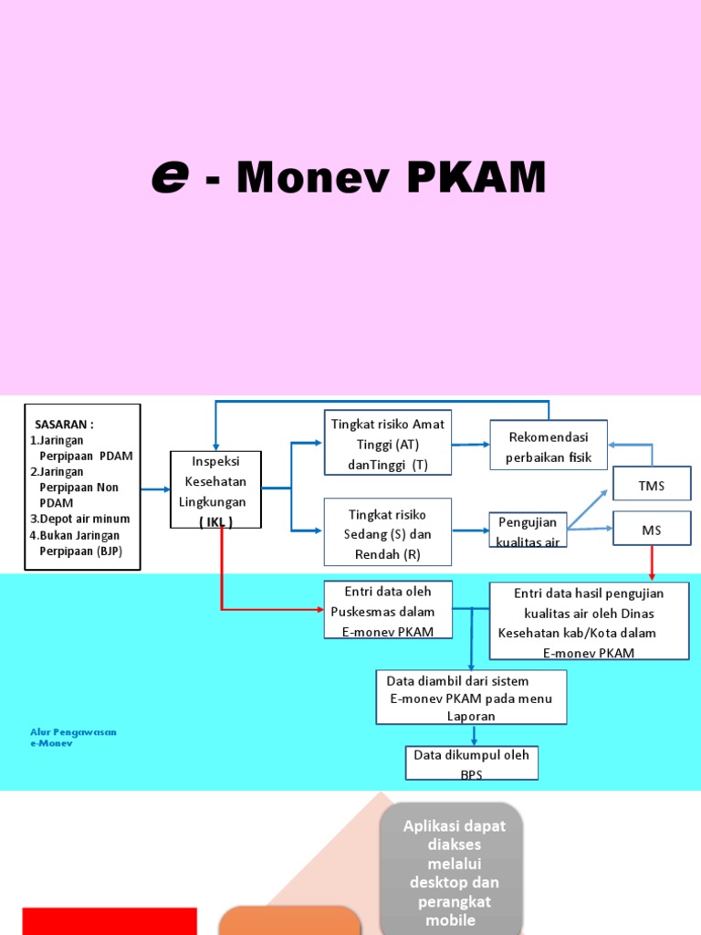 E-Monev Pkam Ms Asrief | PDF