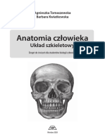 ANATOMIA-CZŁOWIEKA - Układ Szkieletowy Wszystkie Informacje