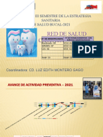 Exposicion Metas SSB - Red Del 2021 III Semestre