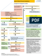 ACG 2024 H. Pylori Treatment Guidelines | PDF | Gram Negative Bacteria ...