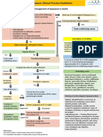 Algorithmus Dyspepsia