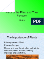 Parts of The Plant PPT Presentation