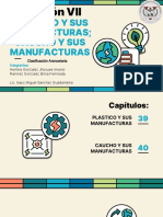 Sección VII: Plástico, caucho y sus manufacturas