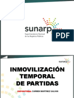 16.inmovilización de Partidas