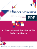 3.0 Endocrine System Rev. Jan 22