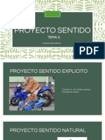 Proyecto Sentido Tema 3