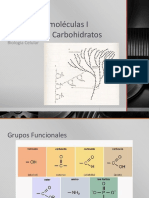 Presentación Tema 2. Carbohidratos v1