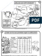 Descargue La Parte 2 - PDRS