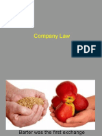 8 Company Law