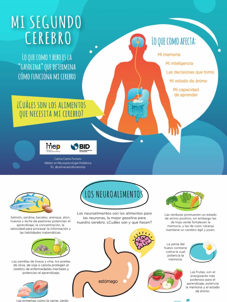 2 Mi Segundo Cerebro | PDF