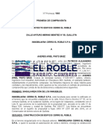 Promesa DP 23 Cerro El Roblev2