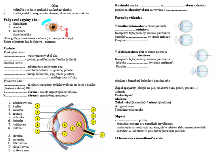 BIO 7r Oko PL | PDF