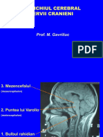 04. Trunchiul Cerebral. Nervii Cranieni. Generalitati (3)