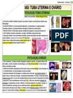 Tabela 2 M3 1VA - Patologias Tuba Uterina e Ovario