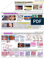 Tabela 7 M3 1VA - Patologias Placenta