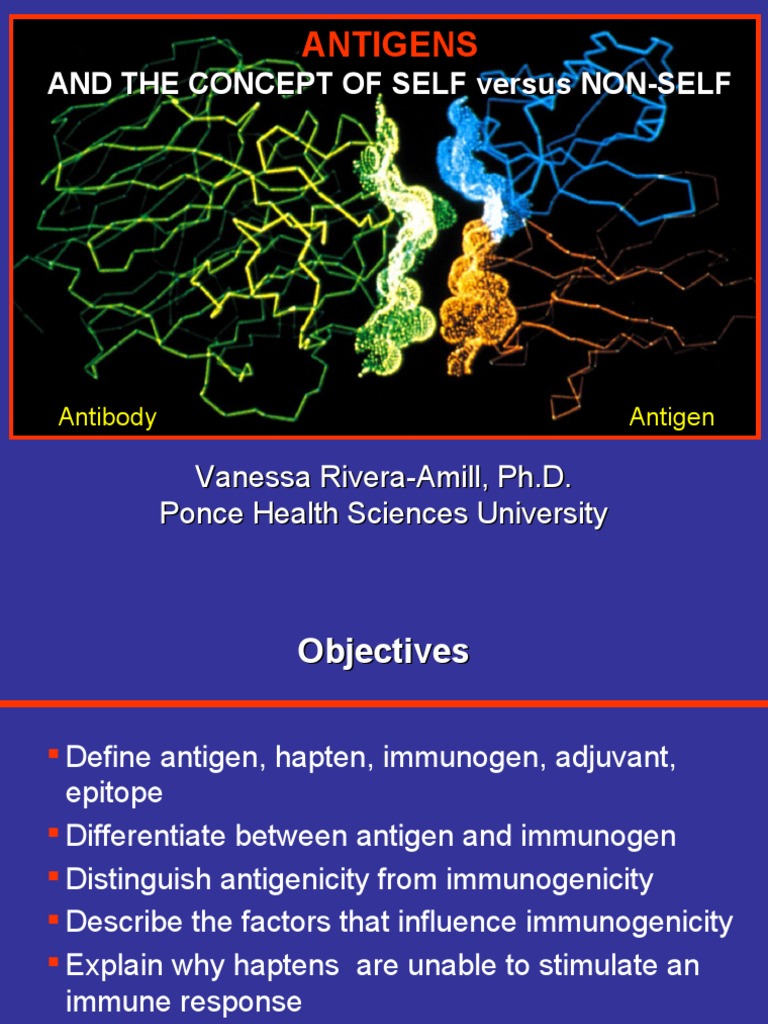4 Antigens PDF Antigen Immune System