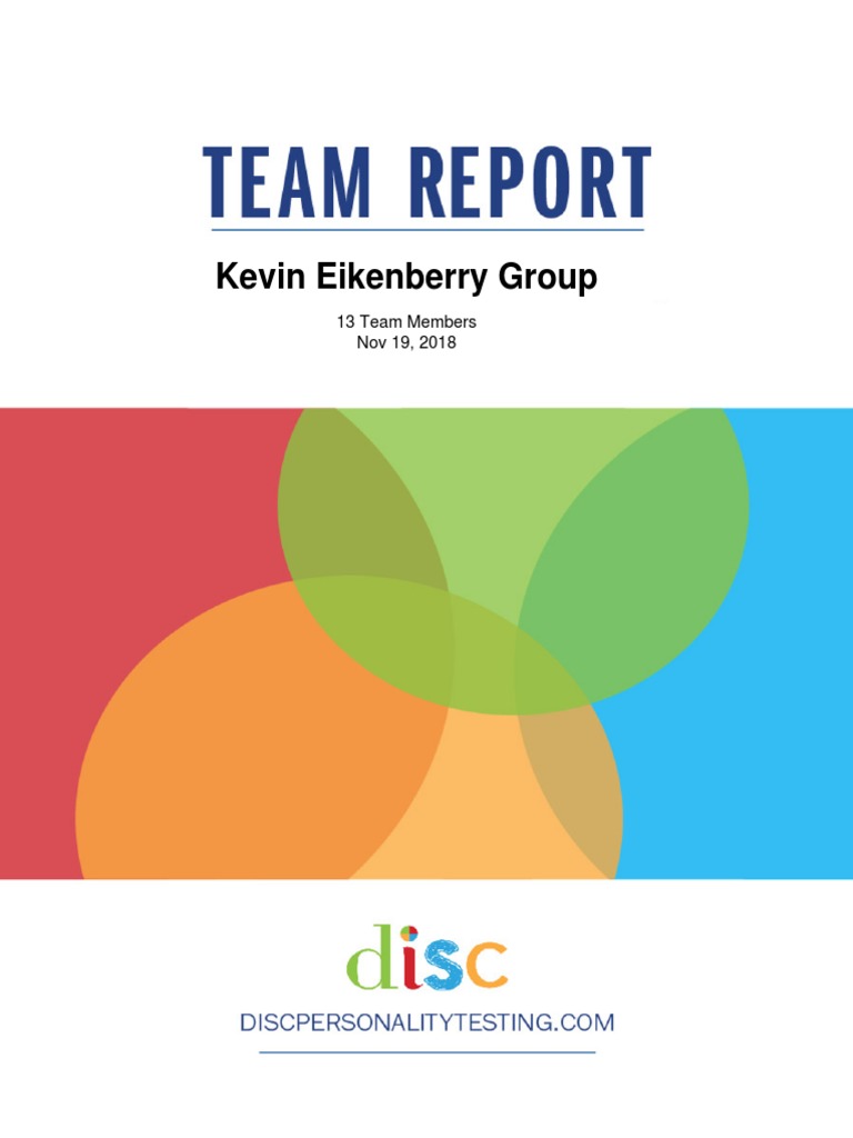 disc-team-style-report-sample-pdf-legal-liability-indemnity