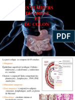 Gastro4an Anapath-Tumeurs Grele Colon2021madoui