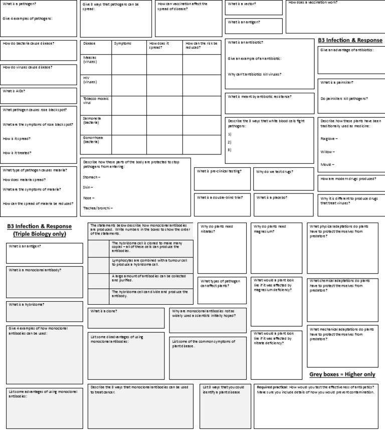B3 Infection and Response Revision Guide | PDF | Pathogen | Antibody