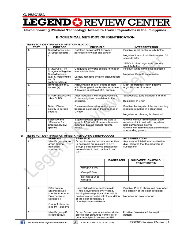 Tests For Staph and Strep Download Free PDF Staphylococcus