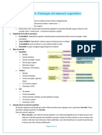 Fisiología del músculo esquelético: funciones, propiedades y organización