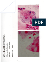 Observaciones Microscopicas I