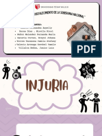 Delito de injuria: Origen, elementos, doctrinas y casos