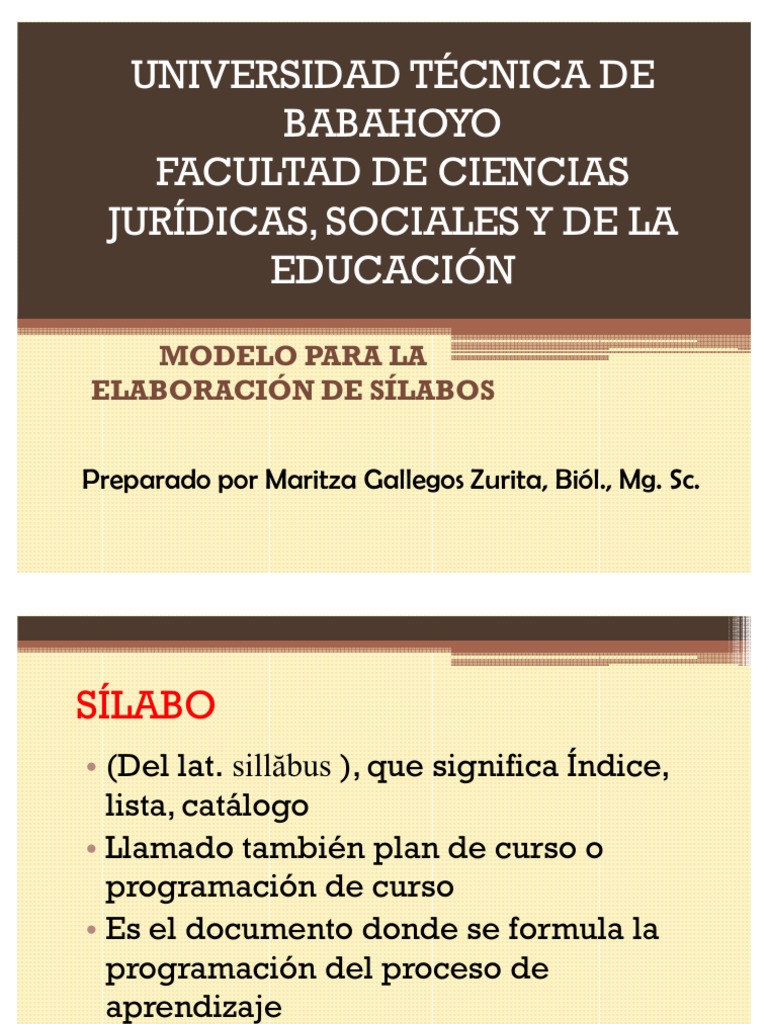 Importancia y Significado del Sílabo Universitario | PDF | Plan de ...