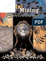 Metal Mining and The Enviroment