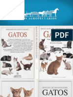 Manual de Identificación Gatos