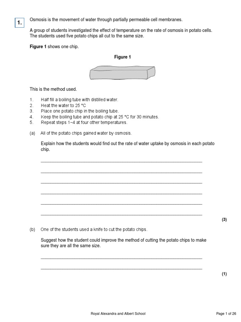 Biology ALL Revision Lesson 5 - Practical Skills | PDF | Starch | Digestion