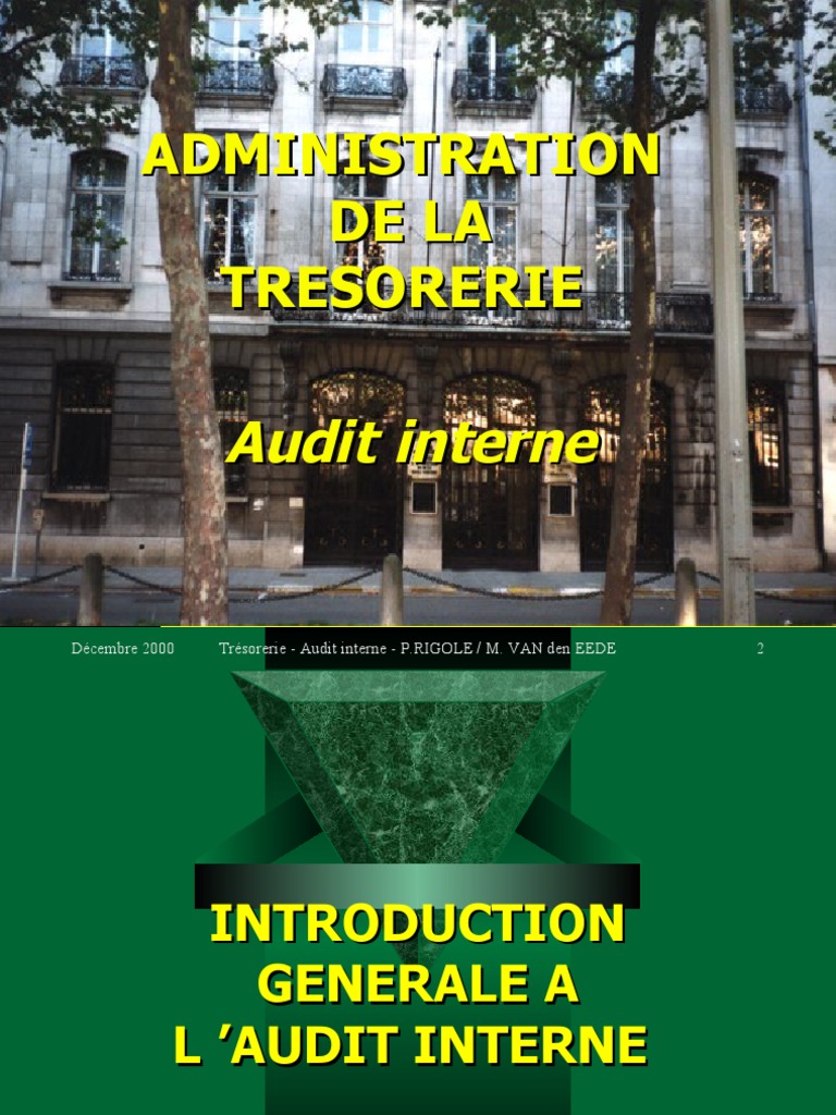 Guide de l'Audit Interne Trésorerie | PDF | Business