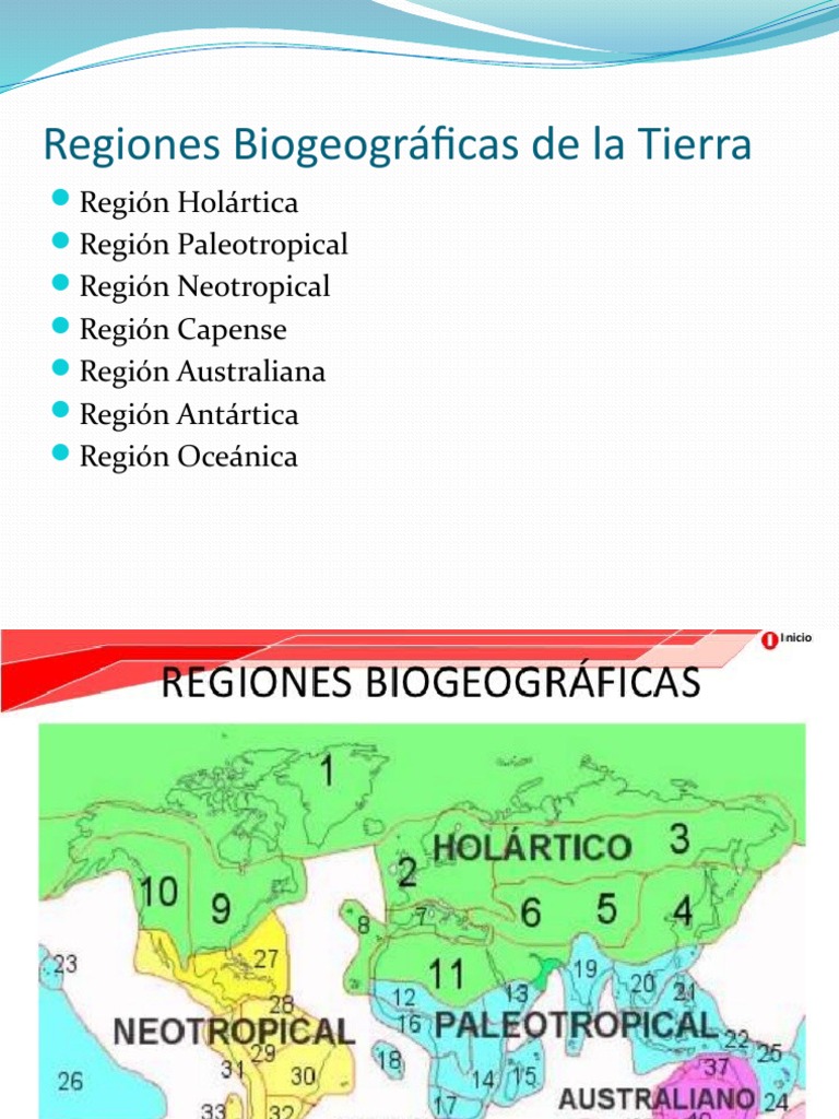 Regiones Biogeograficas | PDF | Andes | Entorno natural