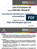 Encuesta Lenguas Originarias y Vulnerabilidad 2022 DBG.