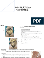 Anatomía abdominal y pélvica