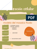 Modelo del mosaico fluido