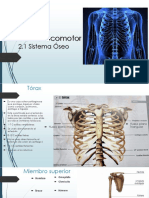 Sistema Oseo 2