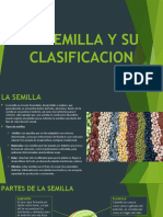 La Semilla y Su Clasificacion