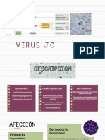 Exposición Virus JC