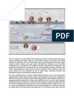 Patomekanisme Virus HIV