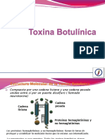1 Toxina Botulínica