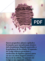 Aparato de Golgi EXPOSICION