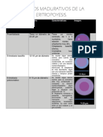 Estadios Madurativos de La Eritropoyesis