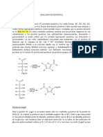 Bioquimica Analisis Informe 1