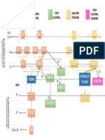 Aula 03. Relações de Parentesco